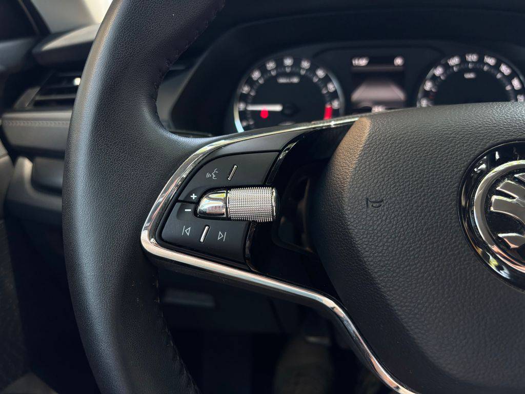 Škoda Octavia 2.0TDi/2024/CZ.1MAJ.DPH-ZÁRUKA